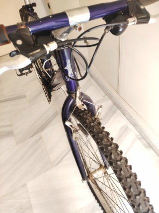 Bicicleta Grisley Mega 10 Aluminium Morada