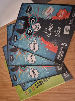 Lote libros 5 Primaria Cono, Mates y Lengua