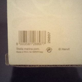 Stella Marina Porcellana Hervit Nuova