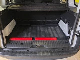 Mercedes-Benz Citan 2018 no tienen ADBLUEE