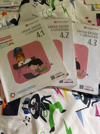 Lingua Galega e Literatura 4, Educación Primari...