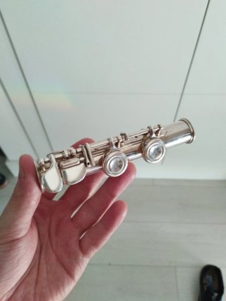 Flauta Travesera.