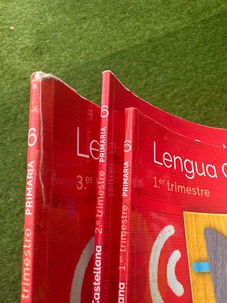 Lengua Castellana, 6 Primaria, Mochila ligera, ...