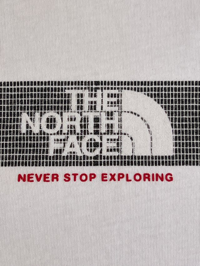 Camiseta The North Face Blanca Logo Grande