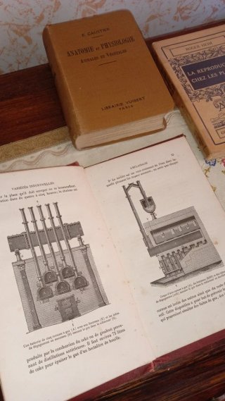 Lotto 3 Libri Antichi Scienze e Anatomia Illustrat