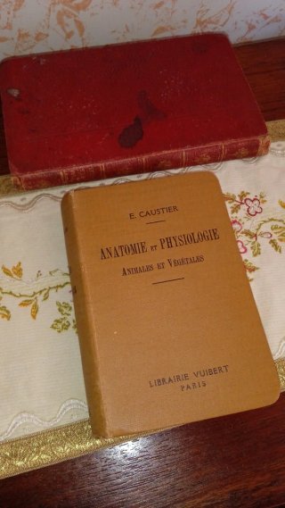 Lotto 3 Libri Antichi Scienze e Anatomia Illustrat