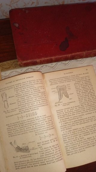 Lotto 3 Libri Antichi Scienze e Anatomia Illustrat