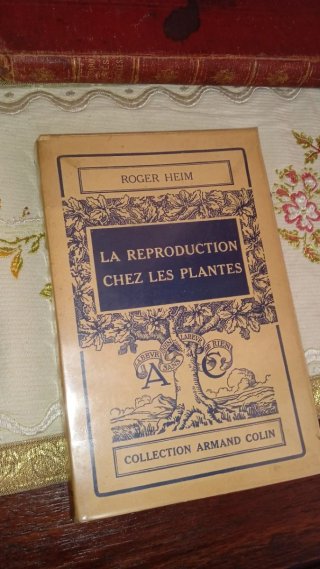 Lotto 3 Libri Antichi Scienze e Anatomia Illustrat