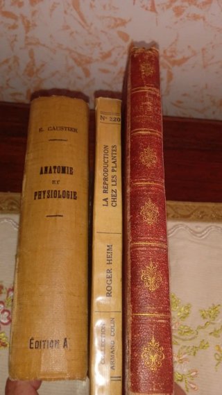 Lotto 3 Libri Antichi Scienze e Anatomia Illustrat