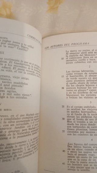 Literatura española contemporánea. 1965.