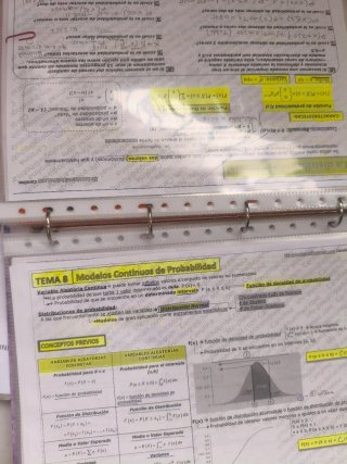 CHOLLO. APUNTES DE LIBROS UNED GRADO PSICOLOGIA.