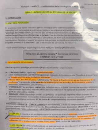 CHOLLO. APUNTES DE LIBROS UNED GRADO PSICOLOGIA.