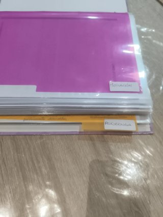CHOLLO. APUNTES DE LIBROS UNED GRADO PSICOLOGIA.