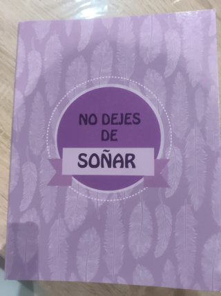 CHOLLO. APUNTES DE LIBROS UNED GRADO PSICOLOGIA.