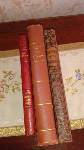 Lotto 3 Libri Antichi Riforma Protestante e Ovidio