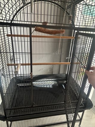 Jaula grande para pájaros/loros