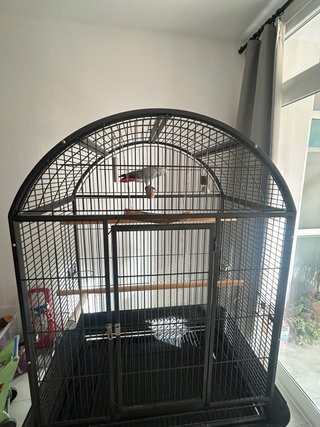 Jaula grande para pájaros/loros