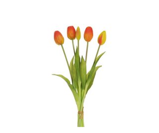 Mazzo 5 Tulipani Gomma