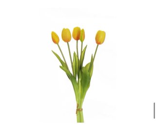 Mazzo 5 Tulipani Gomma