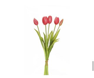 Mazzo 5 Tulipani Gomma