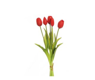 Mazzo 5 Tulipani Gomma
