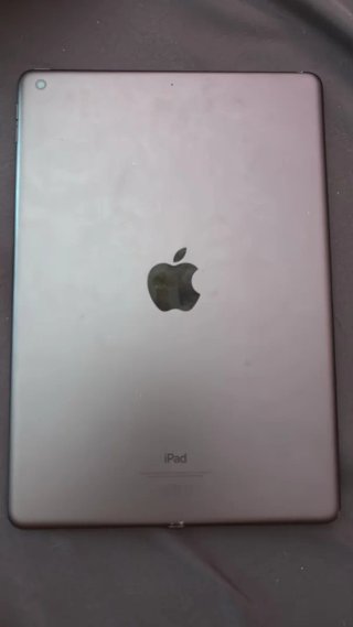 iPad Apple