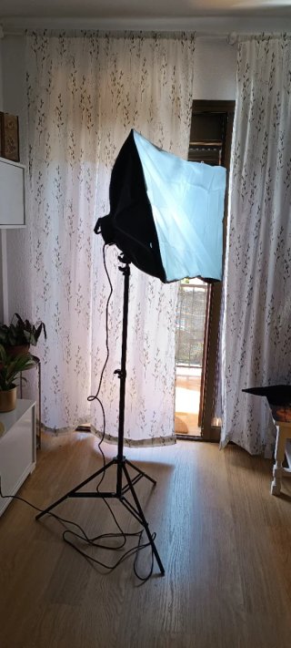 2 Focos Fotografía 5 Bombillas