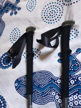 Bastones de trekking Black Diamond