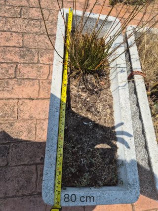 Jardineras Mármol Blanco