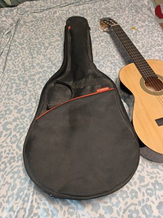 Guitarra Memphis FT951N con funda