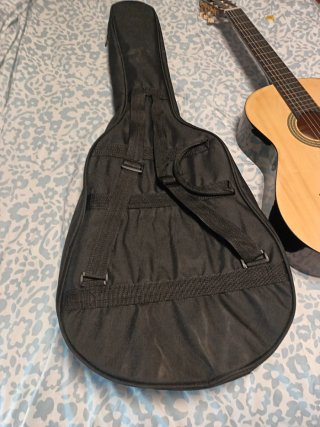 Guitarra Memphis FT951N con funda