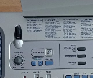Órgano Electrónico Casio CTK-591