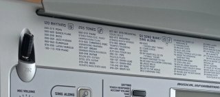 Órgano Electrónico Casio CTK-591