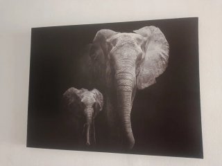 Lienzos Decorativos Elefantes
