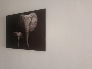 Lienzos Decorativos Elefantes