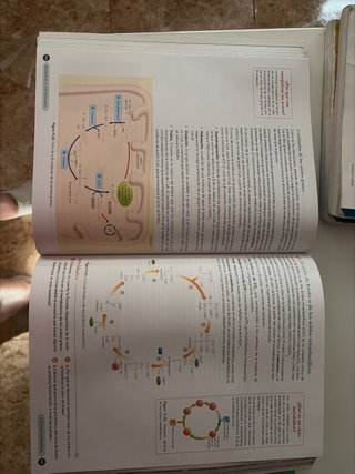 Biología 2º Bachillerato. Libro del estudiante....