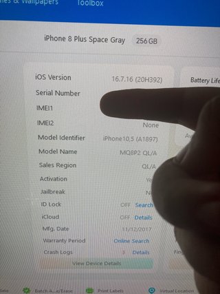 iPhone 8 Plus