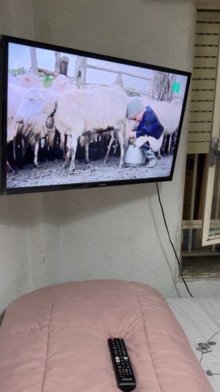 Televisor Samsung 32 Smart TV