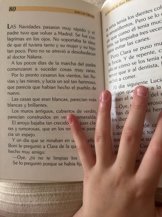 Libro las leyendas de Bonnie Martín