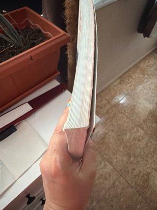 Lengua castellana y literatura 1, Le Bachillerato