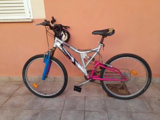 Bicicleta Montaña Giant Stance 29