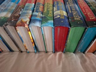Colección 14 libros Geronimo Stilton