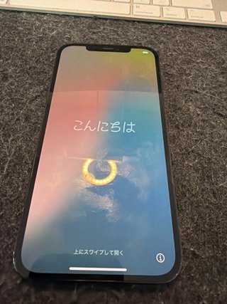 iPhone 12 Pro Max Blu Marina