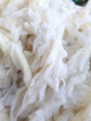 Lana Merino Natural Lavada