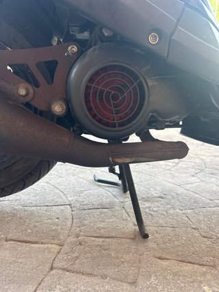 Escape Yasuni Z Yamaha