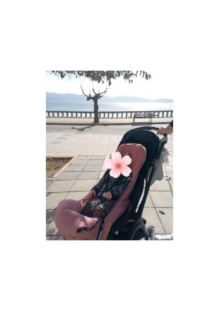 Silla de paseo Bugaboo Butterfly plegable