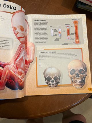 Enciclopedia del cuerpo humano