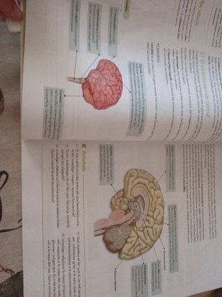 Biologia i Geologia 3r ESO