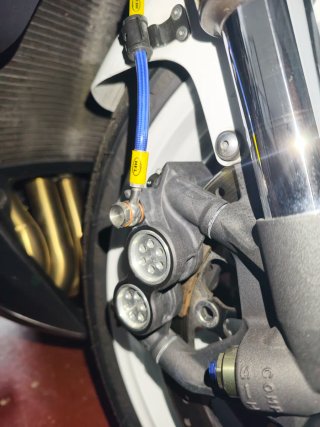 Pinzas R1 2024