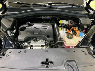MG EHS 2024
